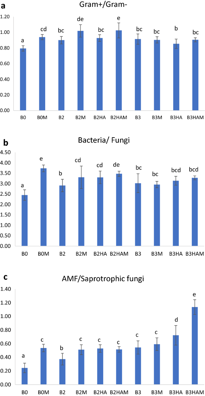 Cooperation Among Phosphate Solubilizing Bacteria Humic Acids And Arbuscular Mycorrhizal Fungi Induces Soil Microbiome Shifts And Enhances Plant Nutrient Uptake Chemical And Biological Technologies In Agriculture Full Text