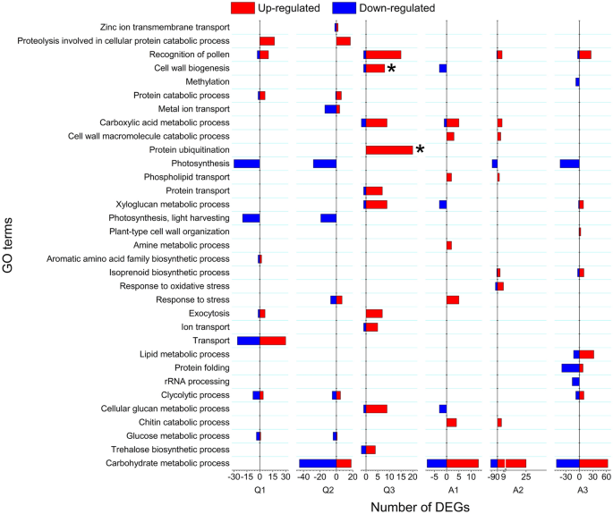 Transcriptome analysis reveals various genes involved in the 