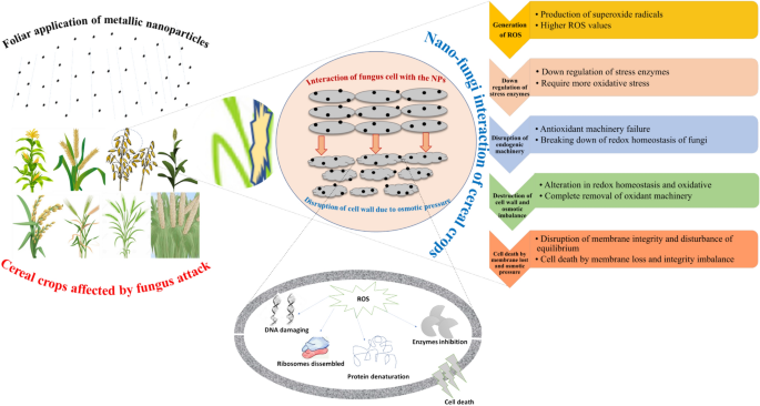 importance of research in agriculture field figure 3