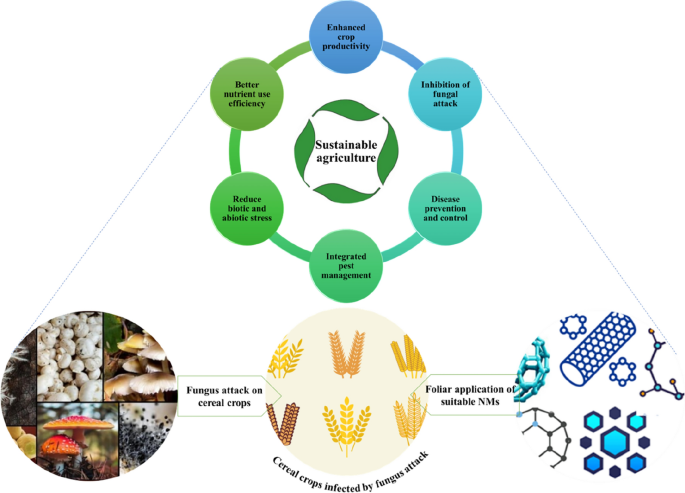 importance of research in agriculture field