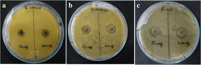 research paper on green synthesis of nanoparticles figure 10
