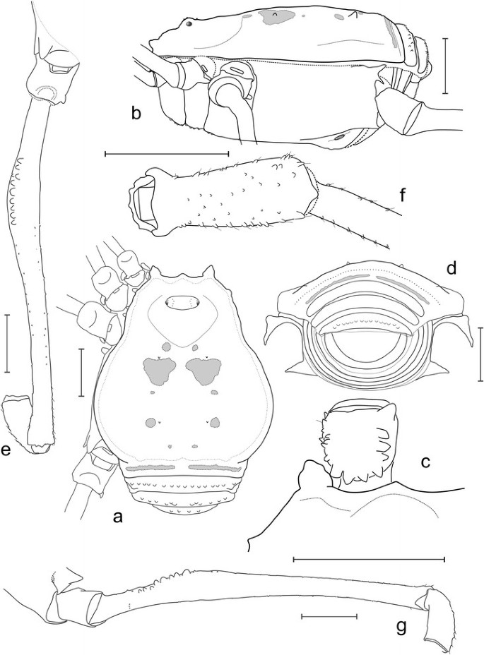 figure 30