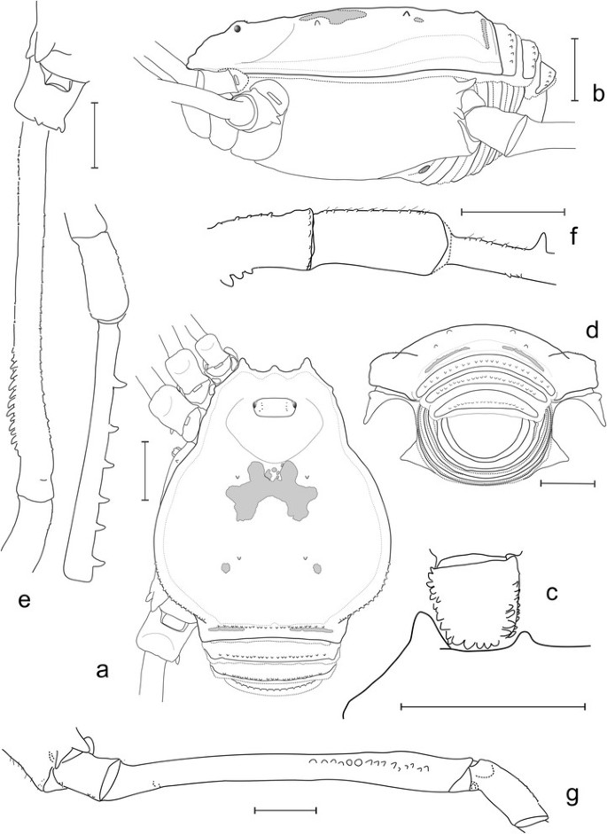 figure 31