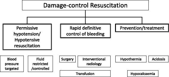 Blood Loss Chart Trauma