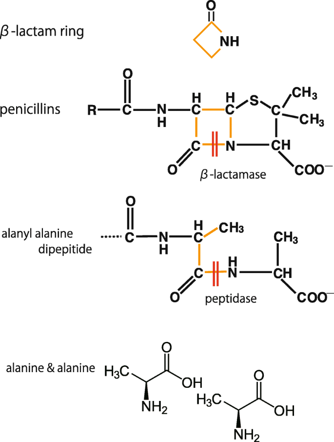 Molecular diversity of extended-spectrum β-lactamases and carbapenemases,  and antimicrobial resistance | Journal of Intensive Care | Full Text