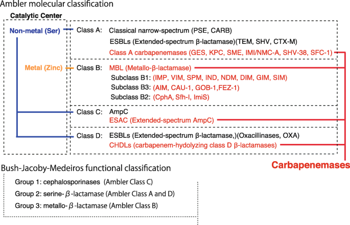 Molecular Diversity Of Extended Spectrum B Lactamases And Carbapenemases And Antimicrobial Resistance Journal Of Intensive Care Full Text