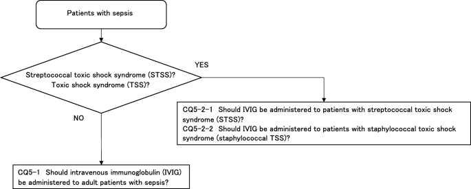 The Japanese Clinical Practice Guidelines For Management Of Sepsis And Septic  Shock 2020 (J-Sscg 2020) | Journal Of Intensive Care | Full Text The Japanese Clinical Practice Guidelines For Management Of Sepsis And Septic  Shock 2020 (J-Sscg 2020) | Journal Of Intensive Care | Full Text