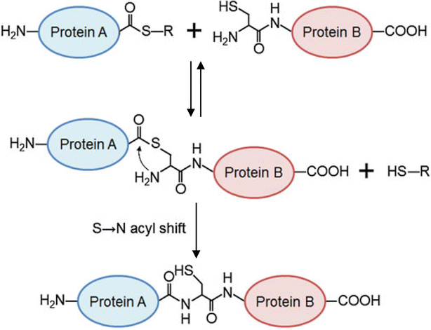 figure 21