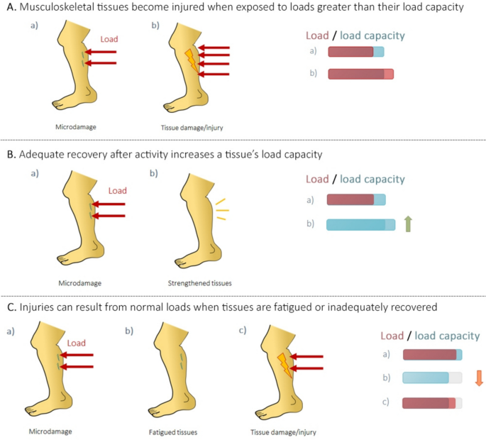 research paper in sports injury figure 1