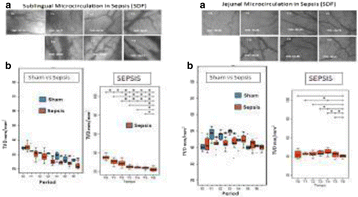 figure 104