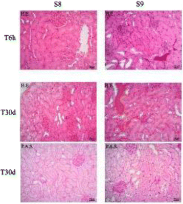 figure 15