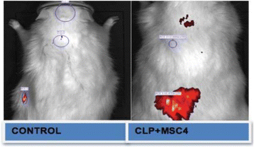 figure 57