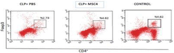 figure 58