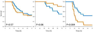 figure 31