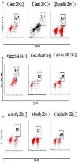 figure 41