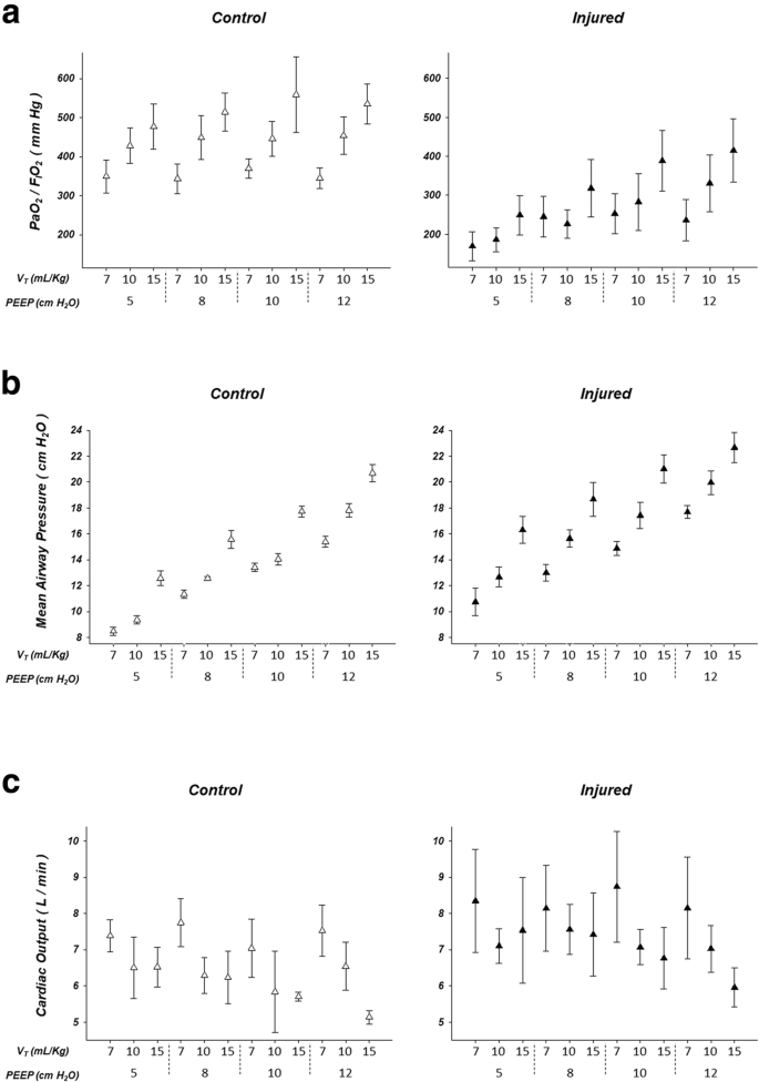 Real Time Effects Of Peep And Tidal Volume On Regional Ventilation And Perfusion In Experimental Lung Injury Intensive Care Medicine Experimental Full Text