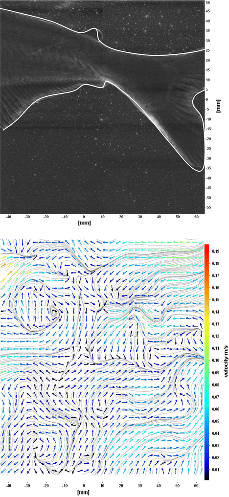 figure 18