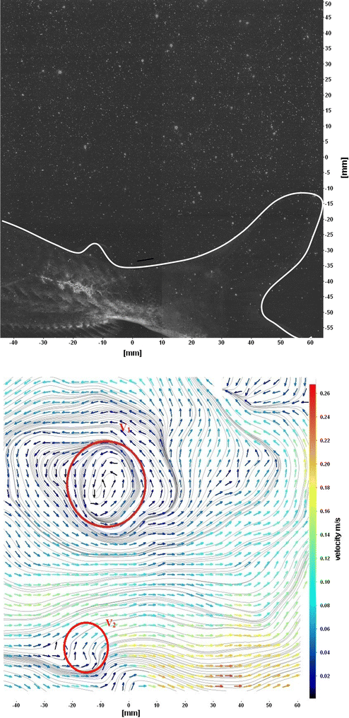 figure 8