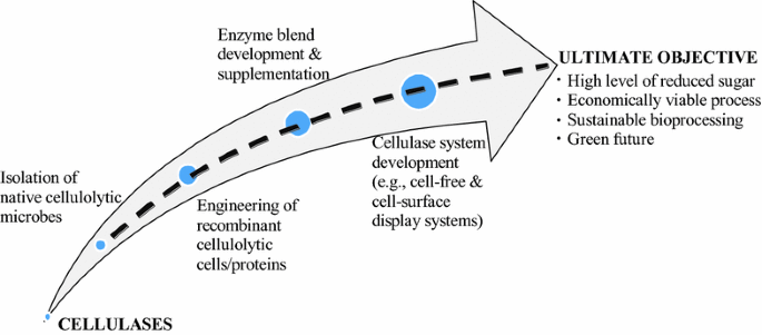 Lignocellulases: a review of emerging and developing enzymes, systems, and practices | Bioresources and Bioprocessing Full Text