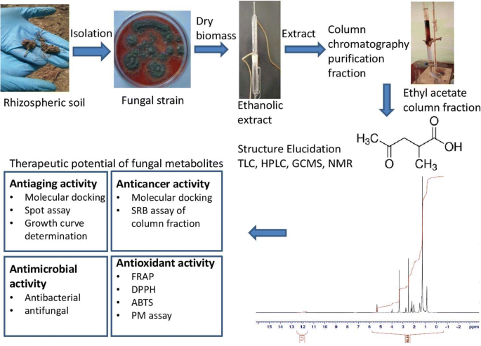 Termékek - Peptid bioregulátor - extralady.hu Ifjúsági tech anti aging