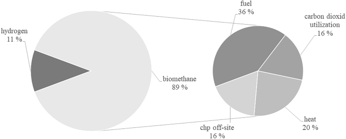 literature review about biogas figure 6