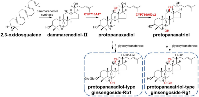 figure 16