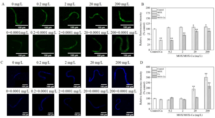 elegans glutathione hsp-6 The triggered antioxidant response and corresponding metabolomics  expression of Caenorhabditis elegans for chronic exposure to moxifloxacin  and trace copper | Bioresources and Bioprocessing