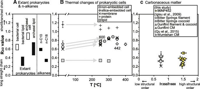 FTIR microspectroscopy of carbonaceous matter in ~ 3.5 Ga seafloor  hydrothermal deposits in the North Pole area, Western Australia | Progress  in Earth and Planetary Science | Full Text