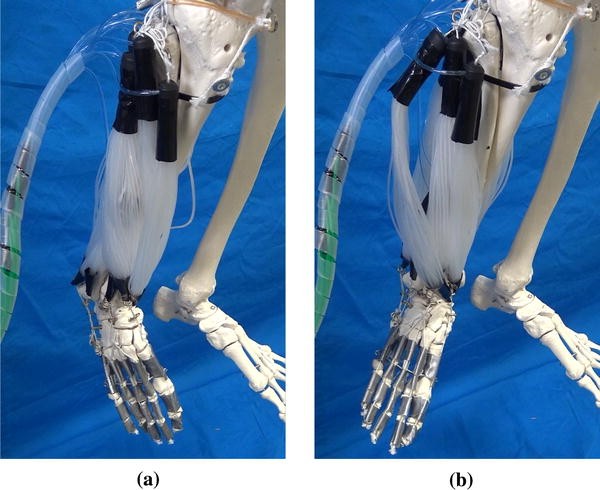 figure 18