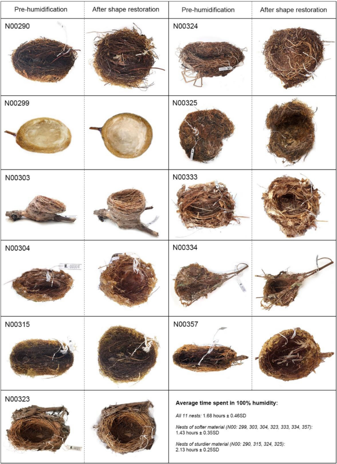 Collection, curation and the use of humidification to restore nest