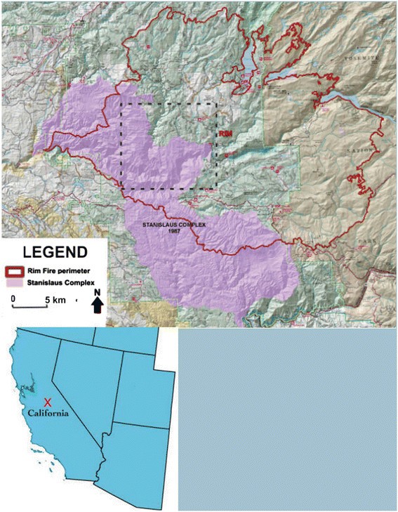 Improvement In Quantifying Debris Flow Risk For Post Wildfire