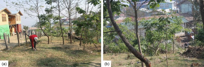 case study about landslide figure 4