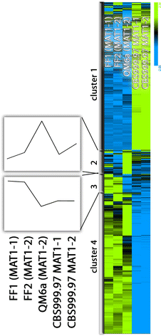 Gene Regulation Associated With Sexual Development And Female Fertility In Different Isolates Of Trichoderma Reesei Springerlink
