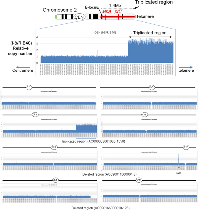 figure4