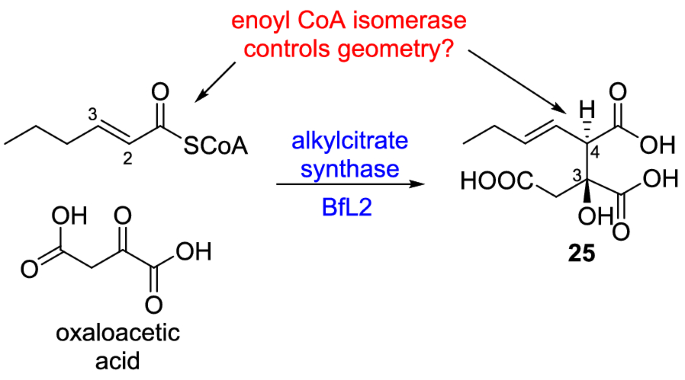 scheme 3