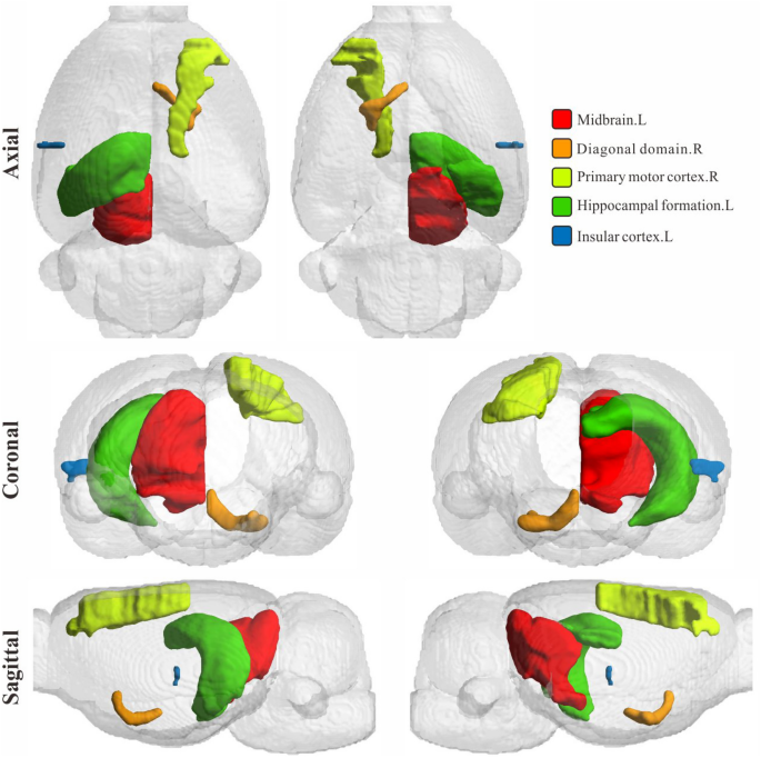 Neurobiologic Advances from the Brain Disease Model of Addiction