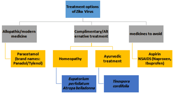 zika virus research paper pdf figure 6