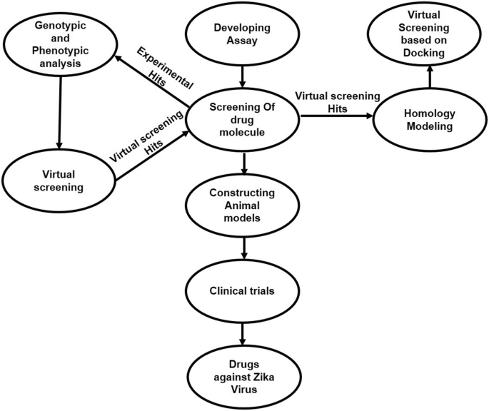 zika virus research paper pdf figure 7