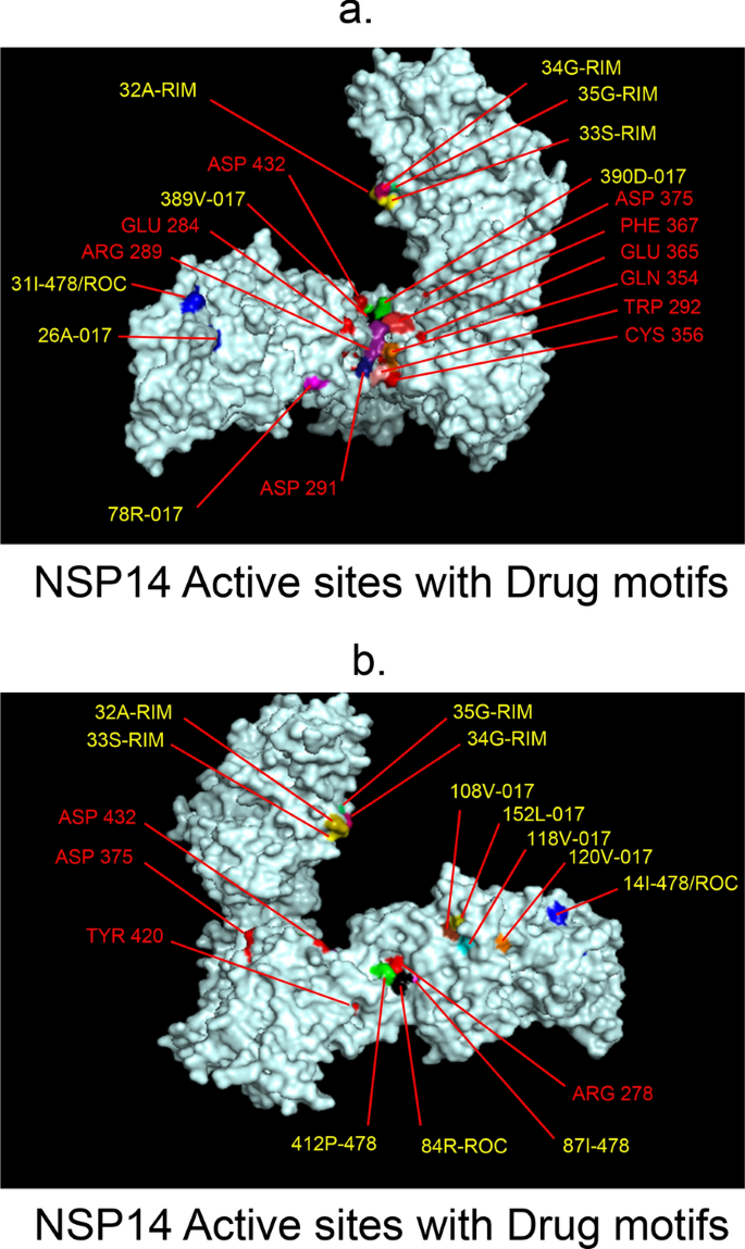 figure 17