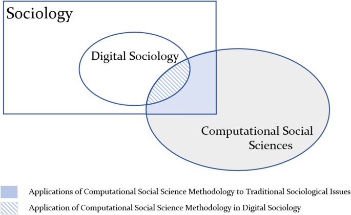Digital sociology: origin, development, and prospects from a 