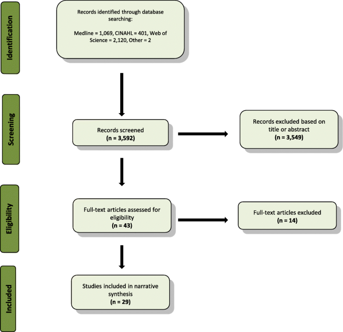 literature review on maternal health care figure 1