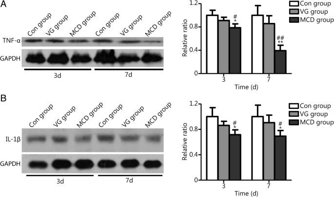 A Novel Microcurrent Dressing For Wound Healing In A Rat Skin Defect Model Military Medical Research Full Text