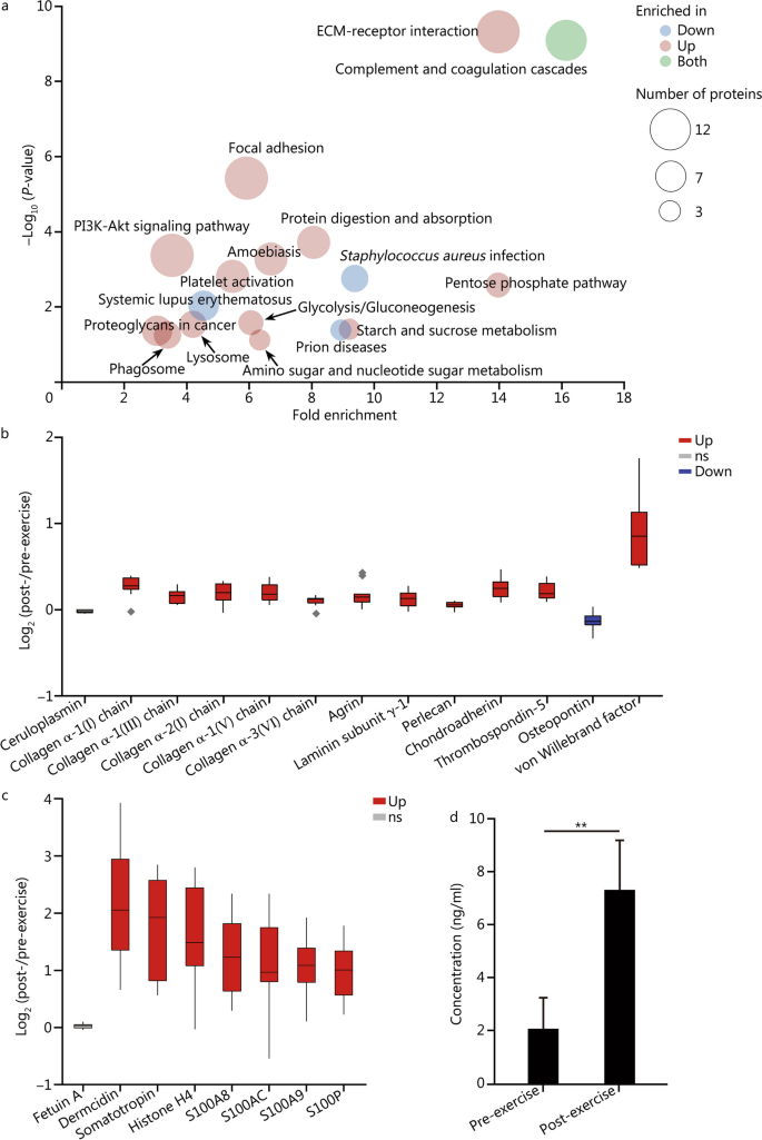 sample discussion for research paper figure 1