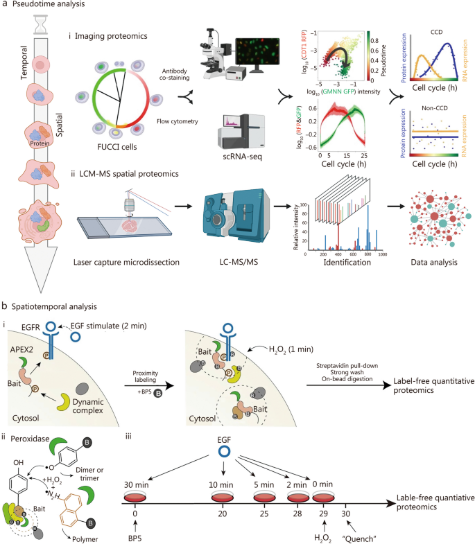 aging research reviews figure 4