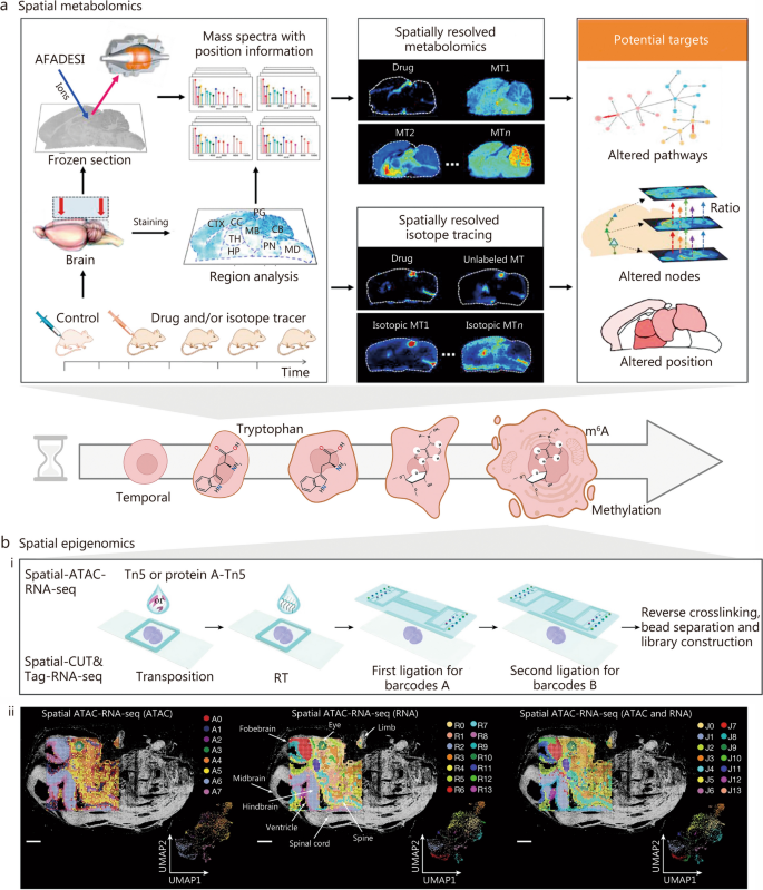 aging research reviews figure 5