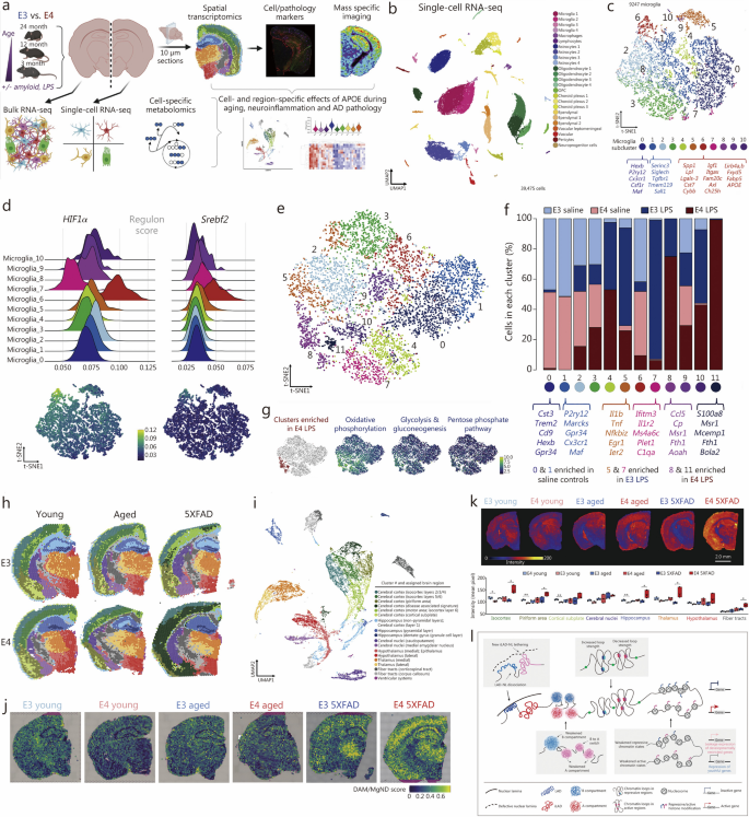 aging research reviews figure 6
