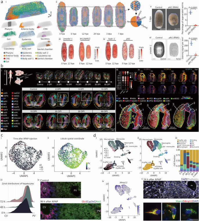 aging research reviews figure 7