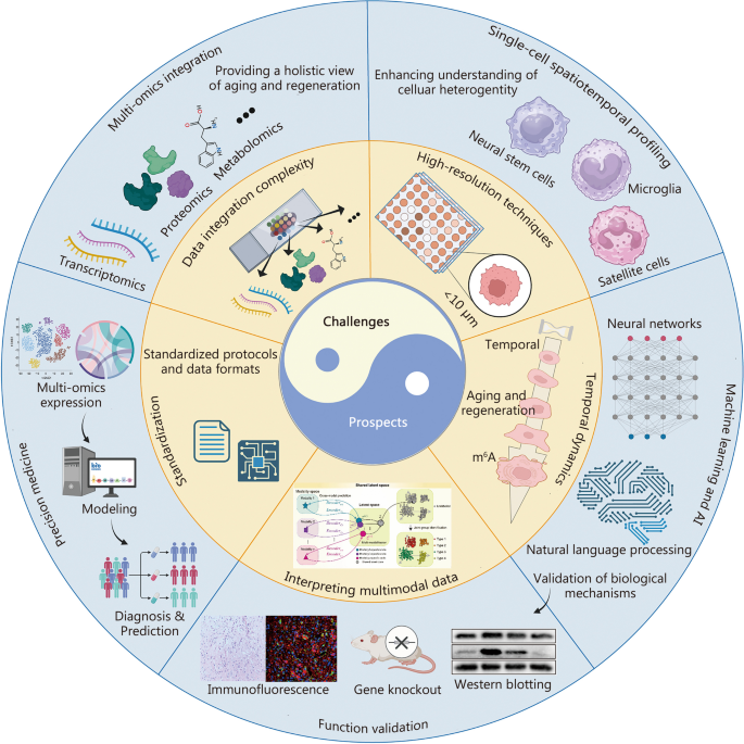 aging research reviews figure 8