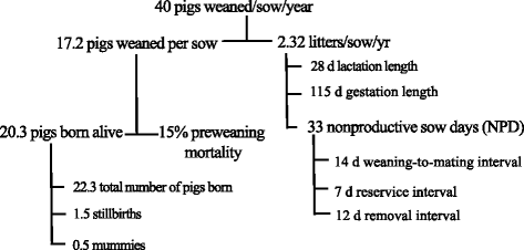 Swine Heat Cycle Chart