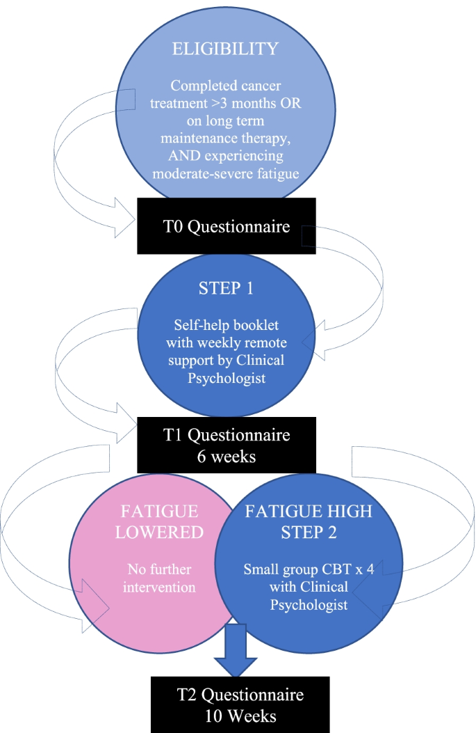 Methodology of the DCCSS later fatigue study: a model to investigate  chronic fatigue in long-term survivors of childhood cancer, BMC Medical  Research Methodology